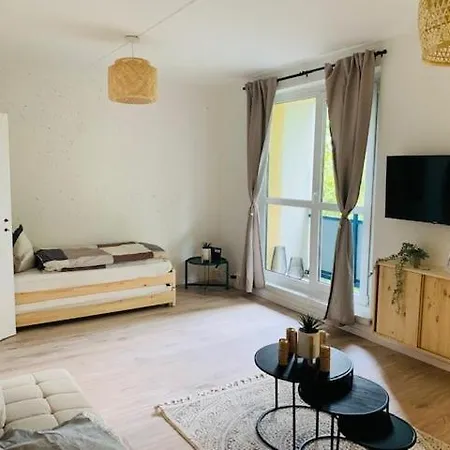 Modernes 1-raum Im Boho-style